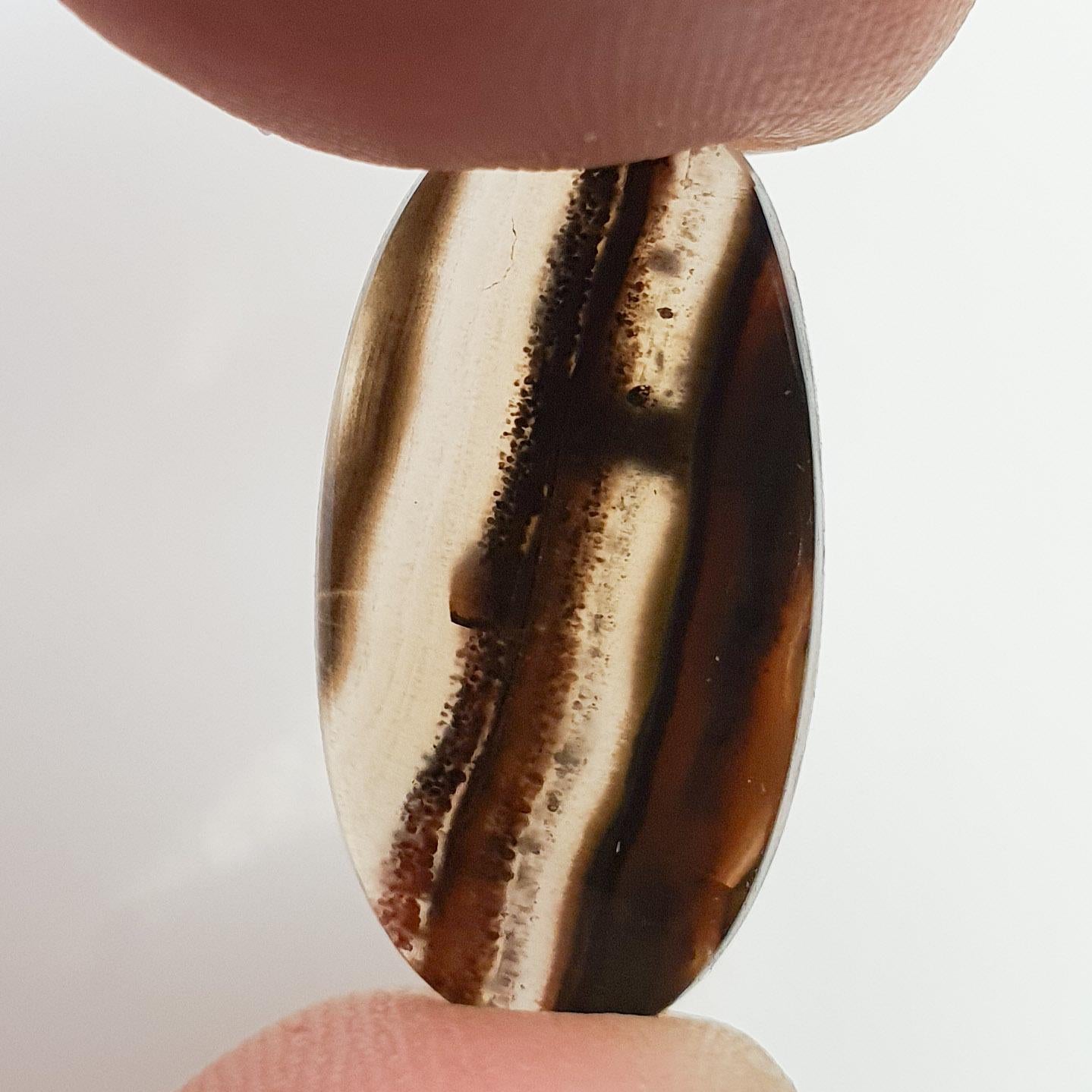 Cabochon agate condor
