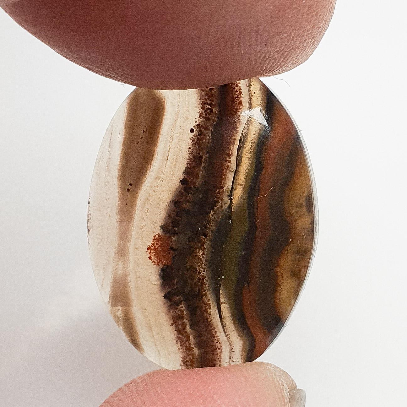 Cabochon agate condor