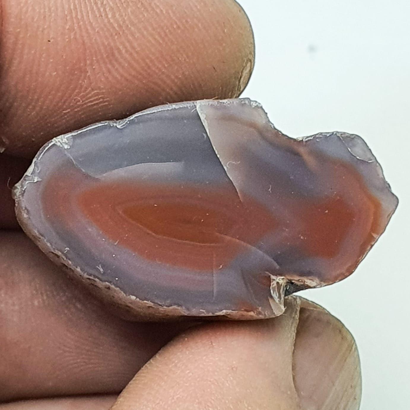 Agate creek ( demi-nodule)