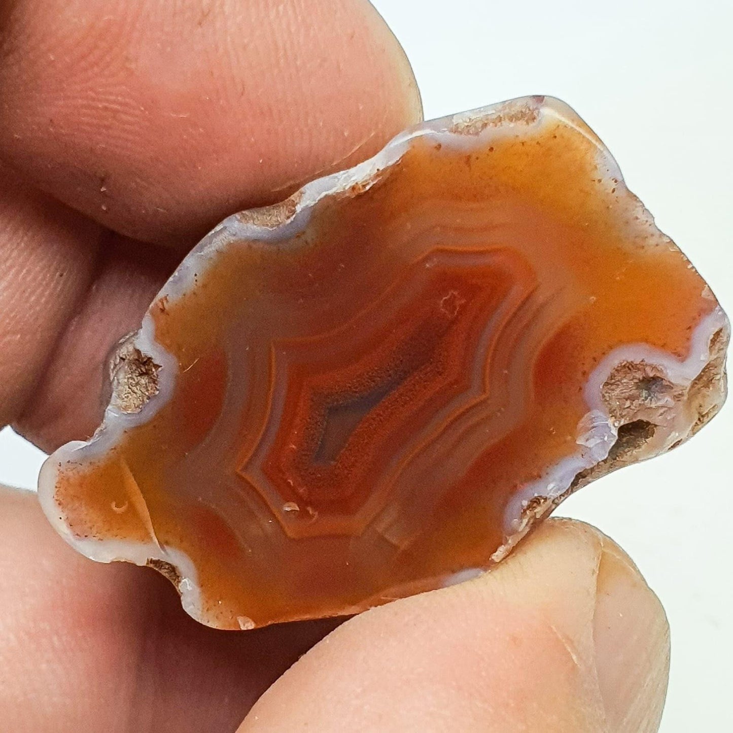 Agate du malawi ( demi-nodule)