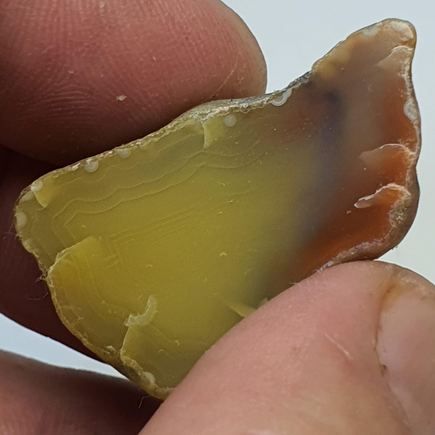 Agate creek ( demi-nodule)