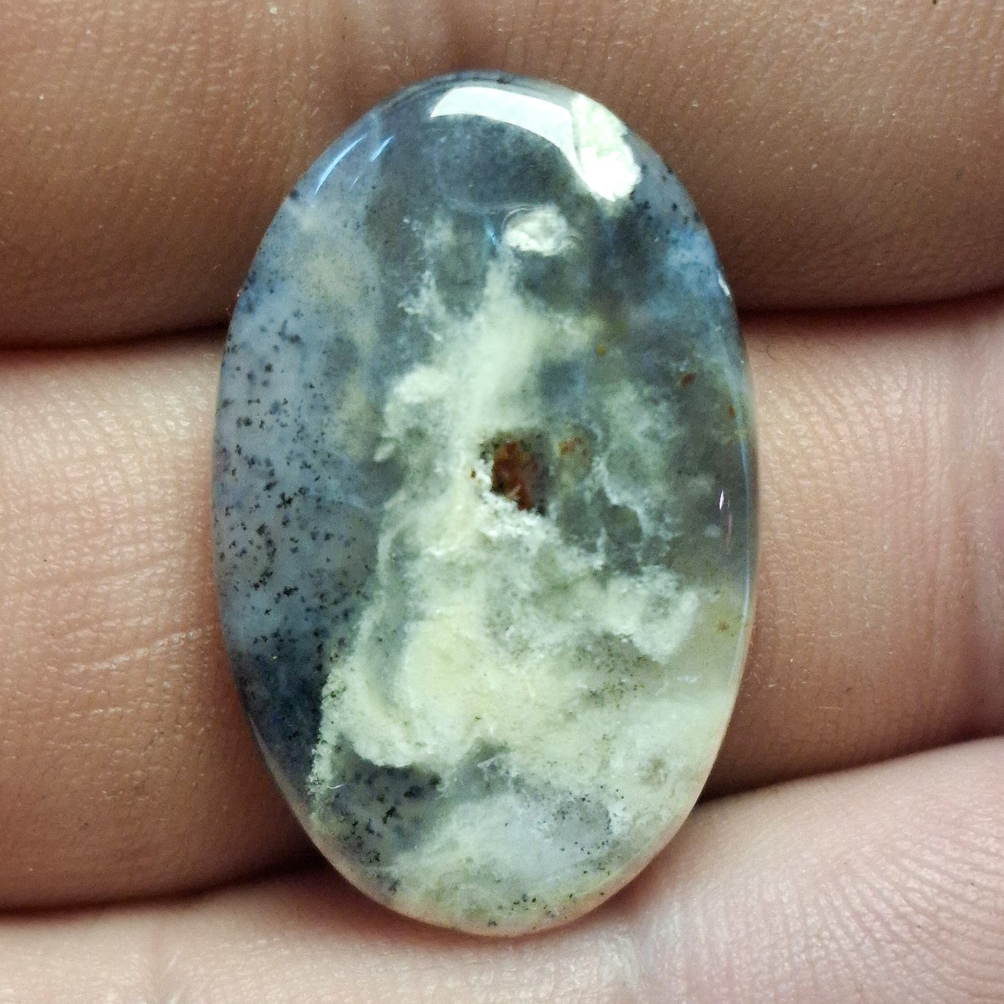 Cabochon Agate Dendrite