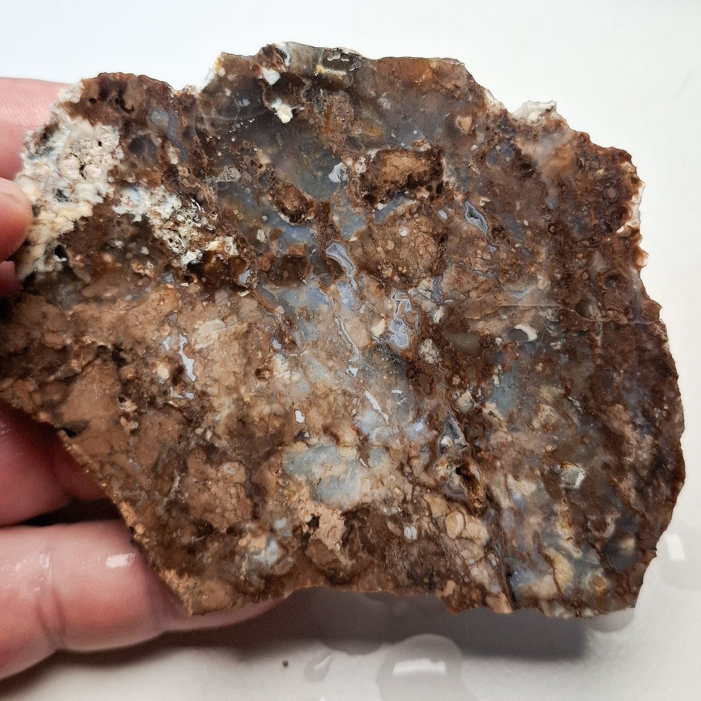 Dalle Lapidaire Calcédoine Opalisée du Haut Forez