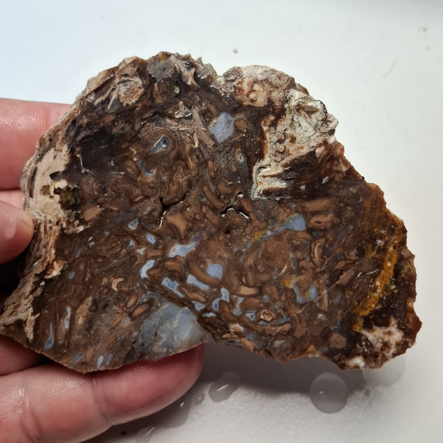 Dalle Lapidaire Calcédoine Opalisée du Haut Forez
