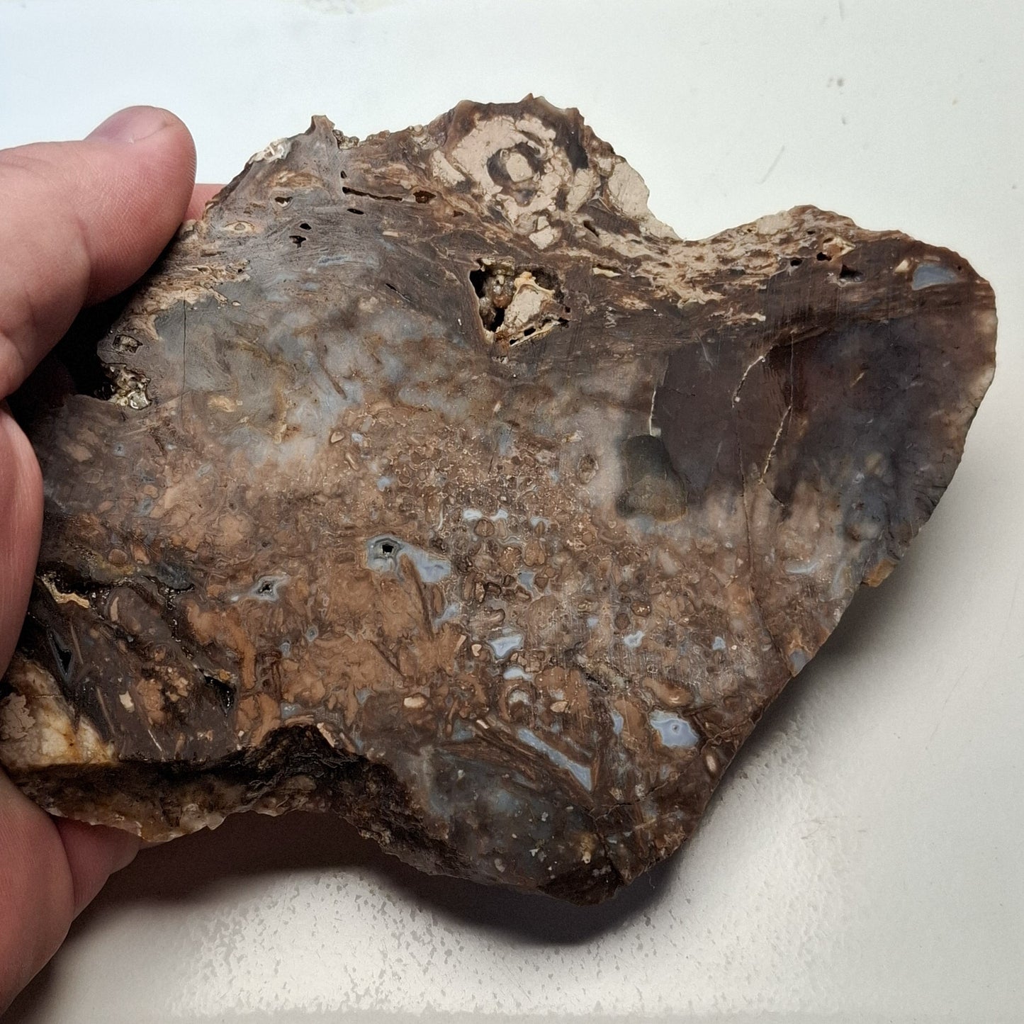 Dalle Lapidaire Calcédoine Opalisée du Haut Forez