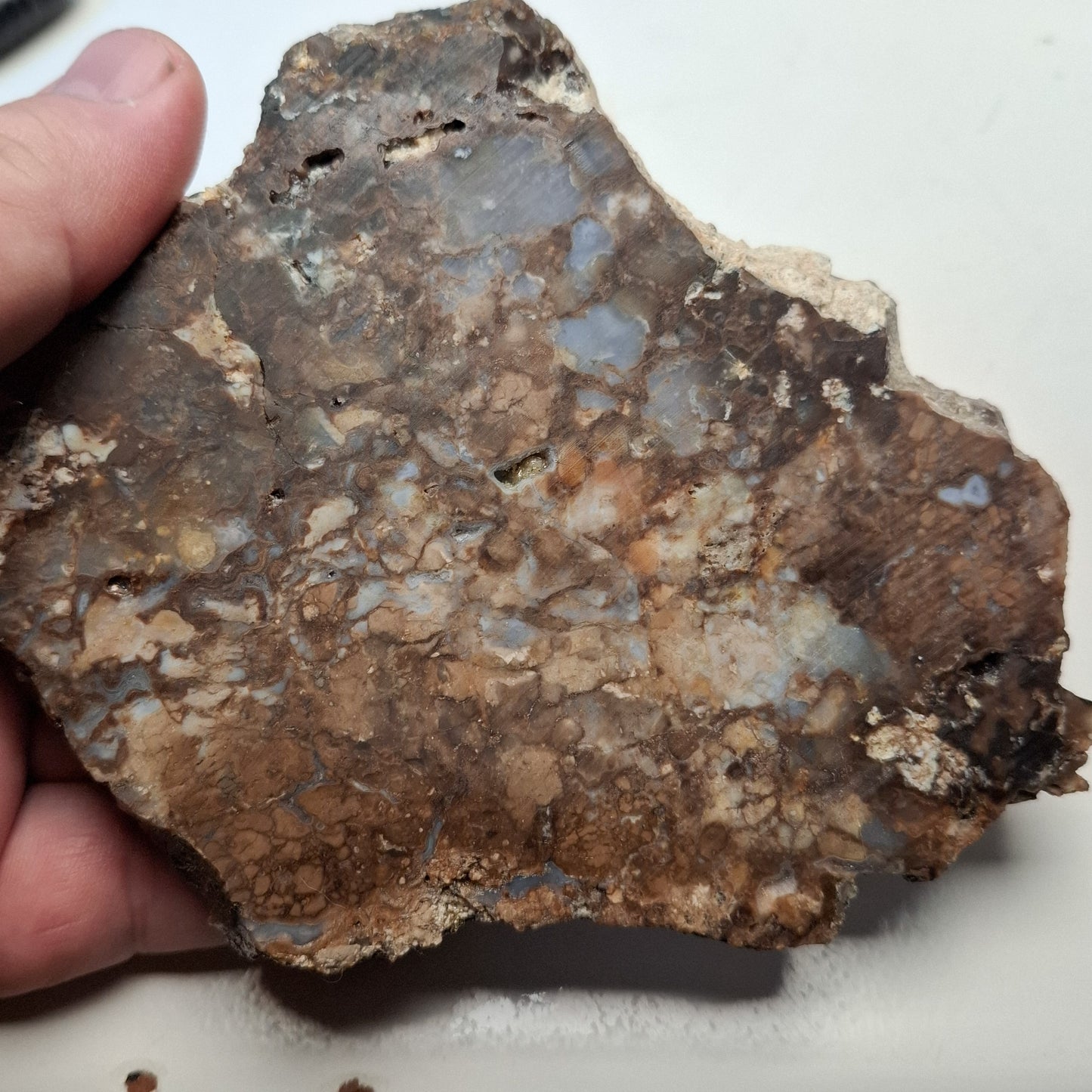 Dalle Lapidaire Calcédoine Opalisée du Haut Forez