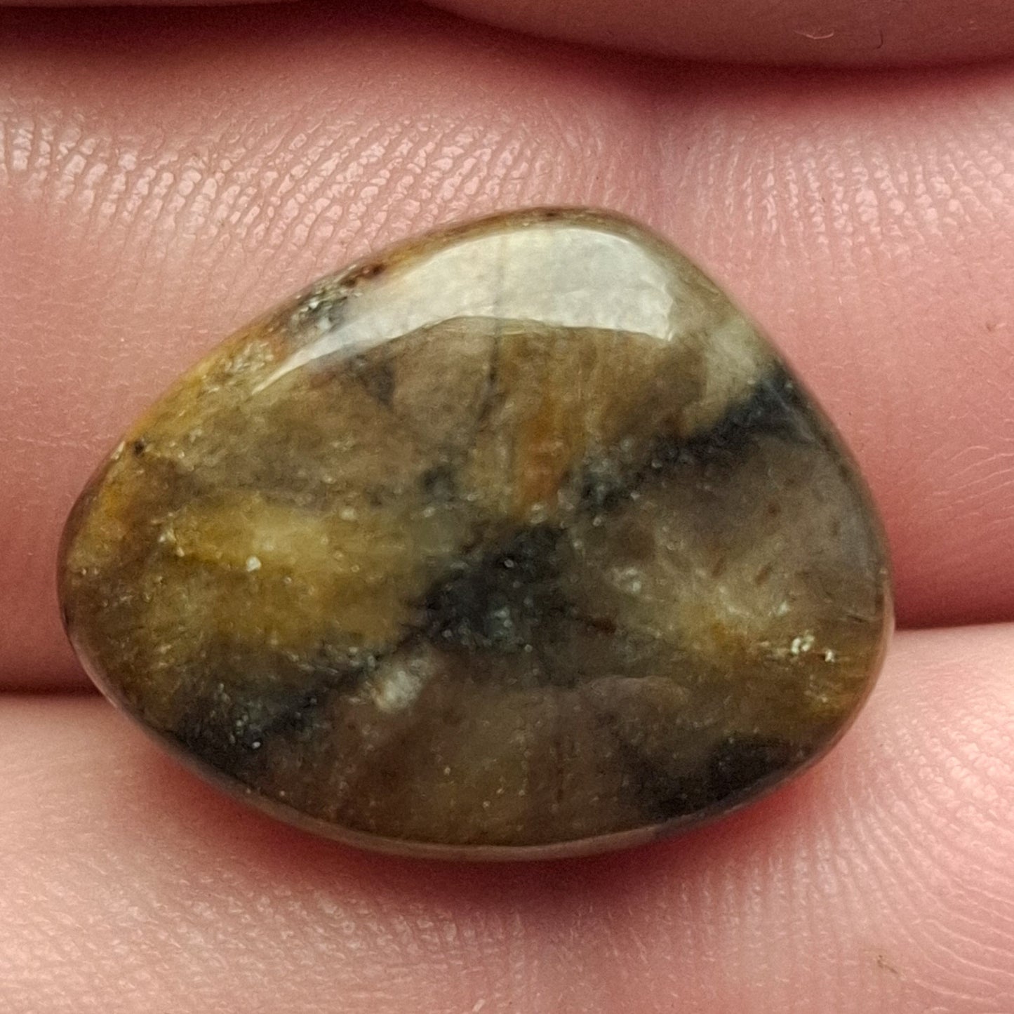 Cabochon Chiastolite