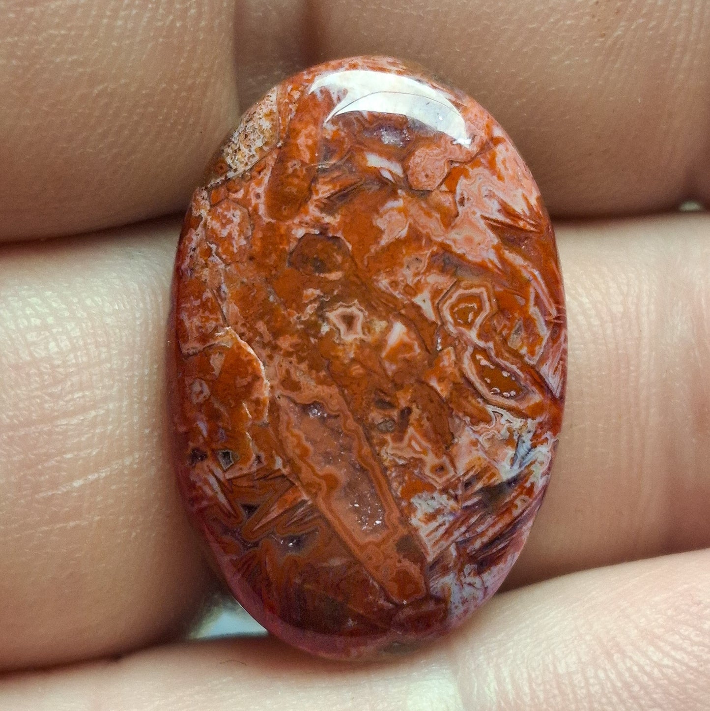 Cabochon agate de saphoz