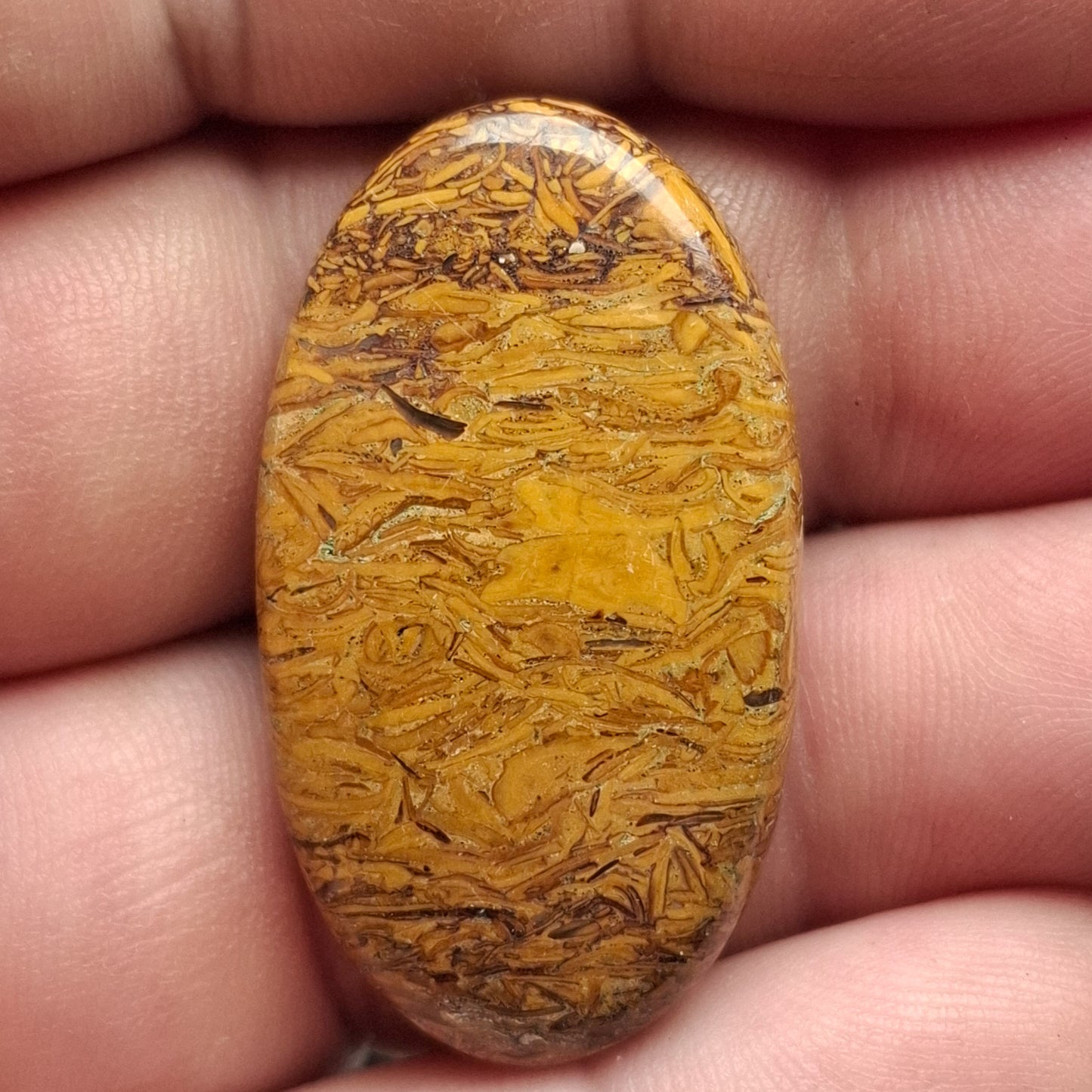 Cabochon Jaspe Mariam