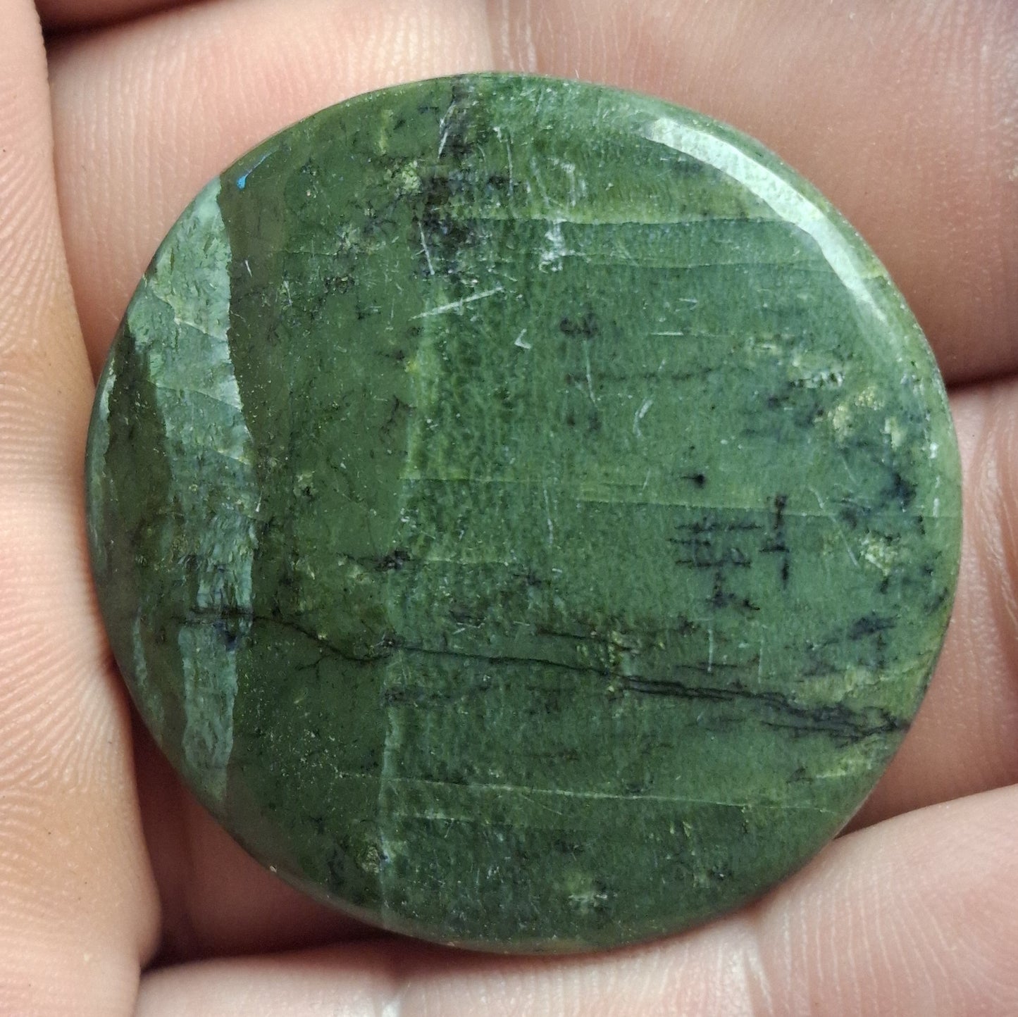 Cabochon Serpentine "Arizona Pietersite"