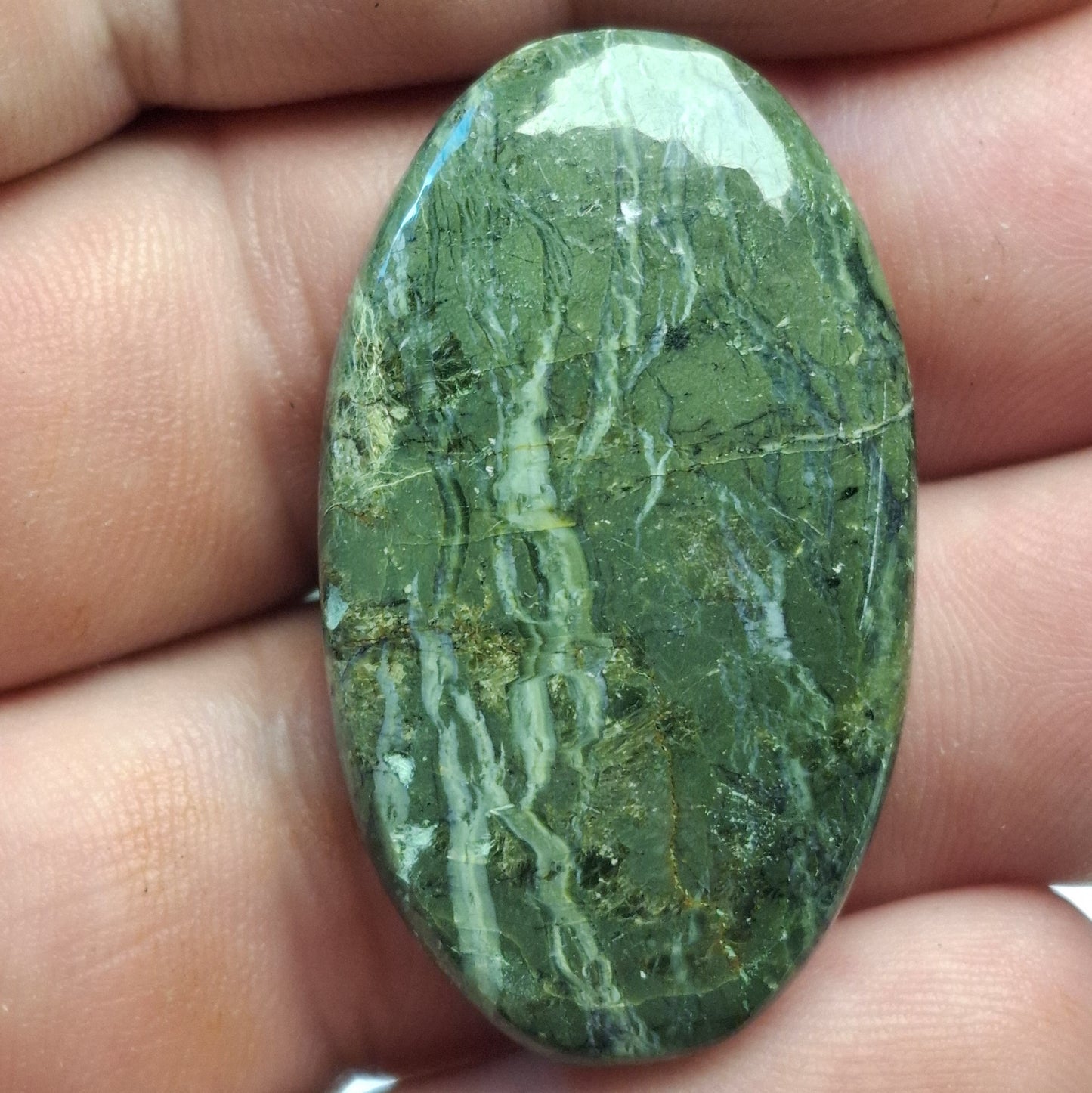 Cabochon Serpentine "Arizona Pietersite"