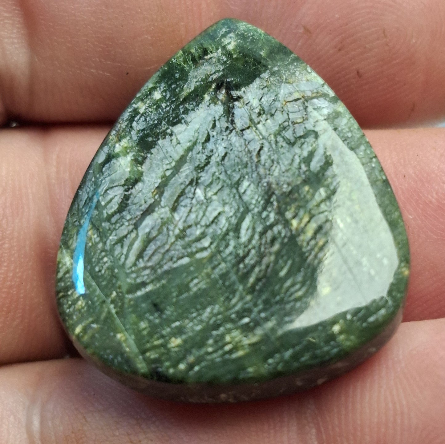Cabochon Serpentine "Arizona Pietersite"