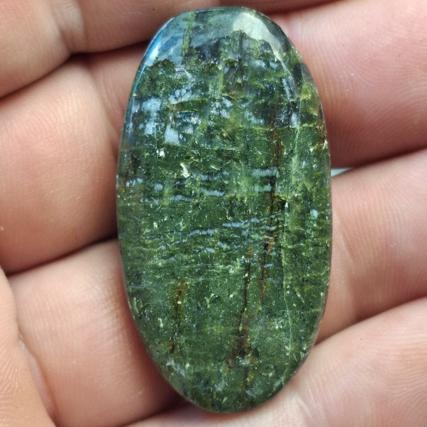 Cabochon Serpentine "Arizona Pietersite"