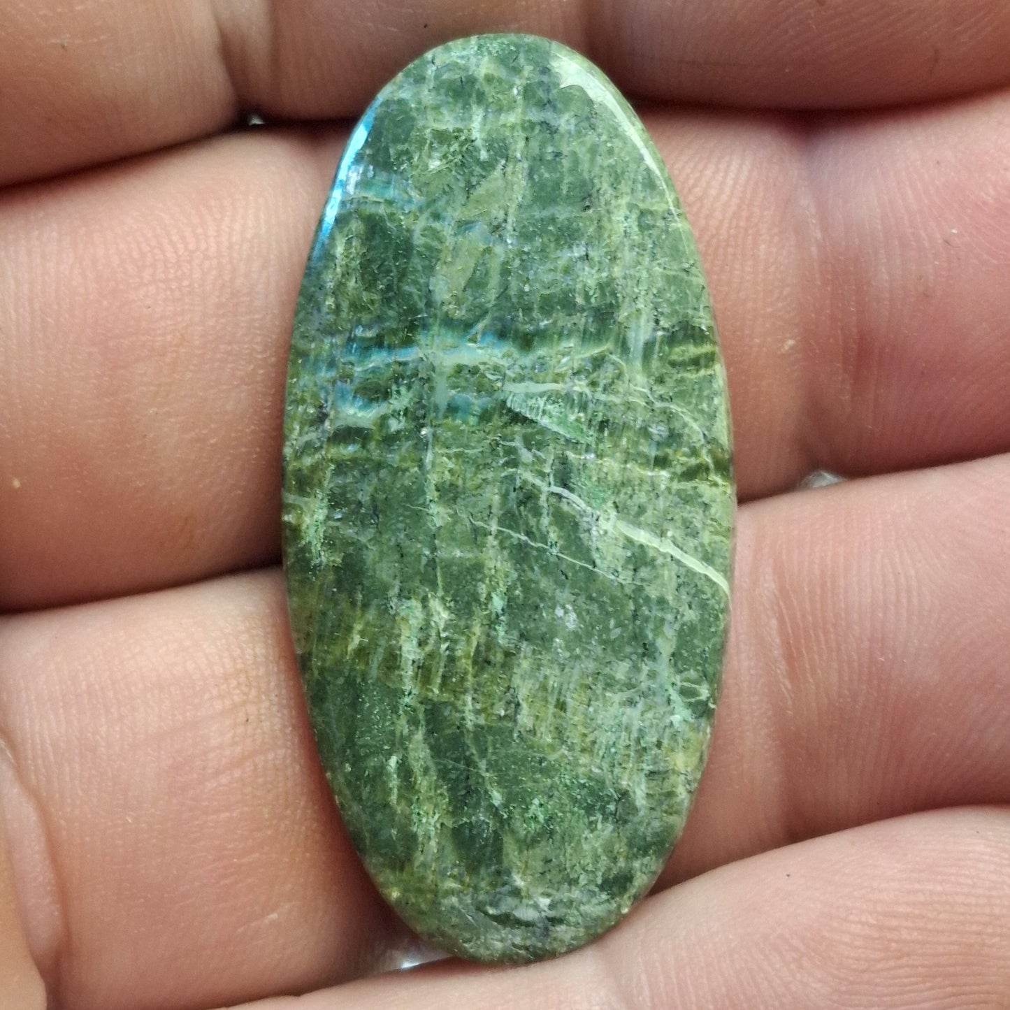 Cabochon Serpentine "Arizona Pietersite"