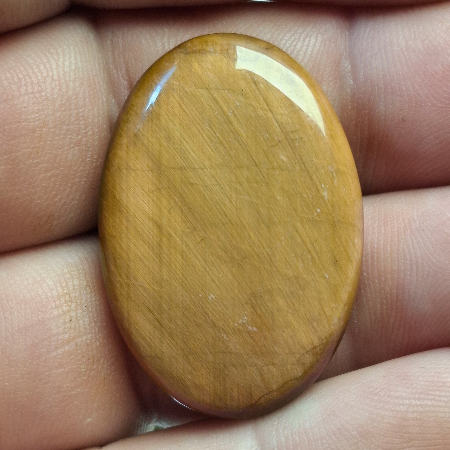 Cabochon Œil de Tigre