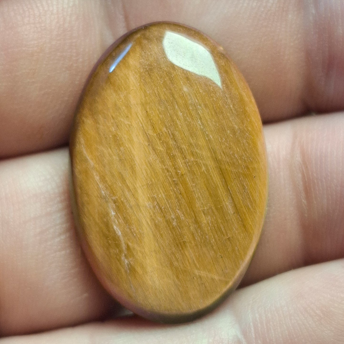 Cabochon Œil de Tigre