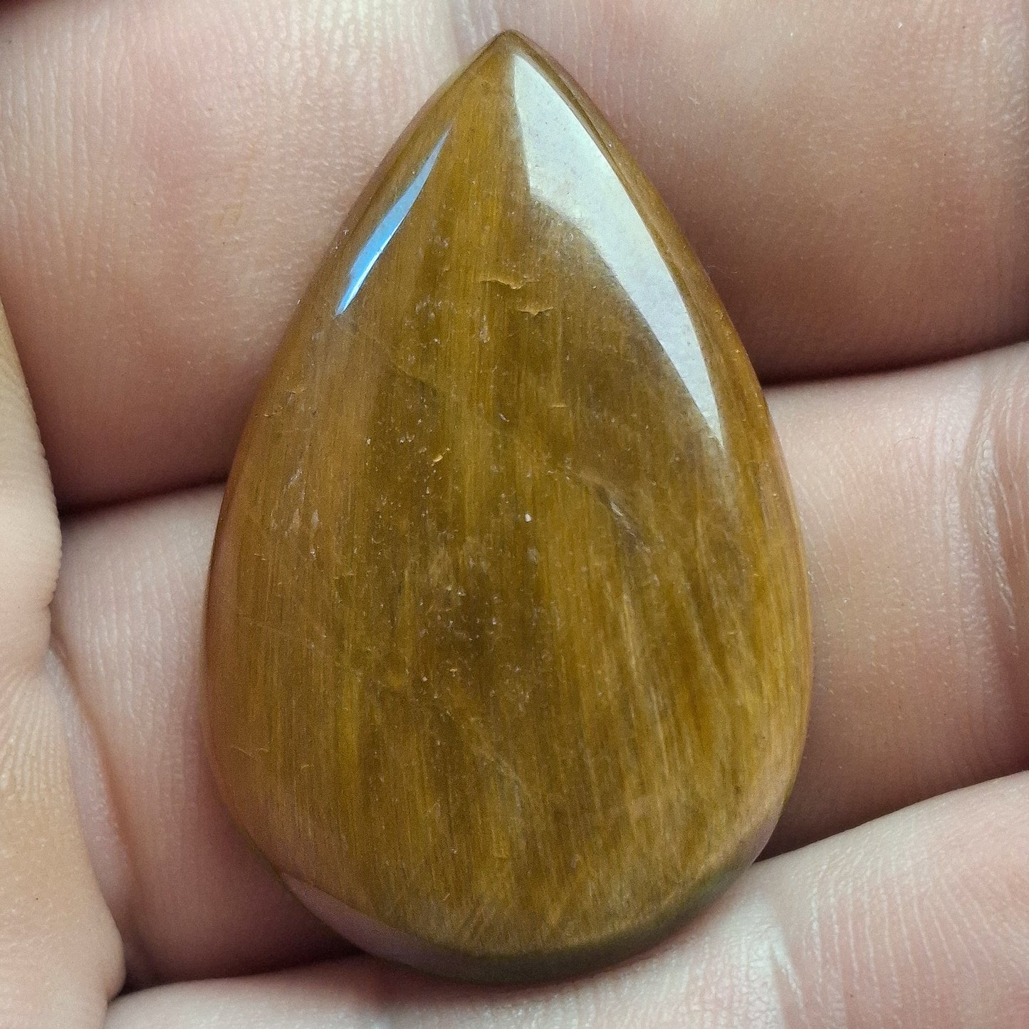Cabochon Œil de Tigre