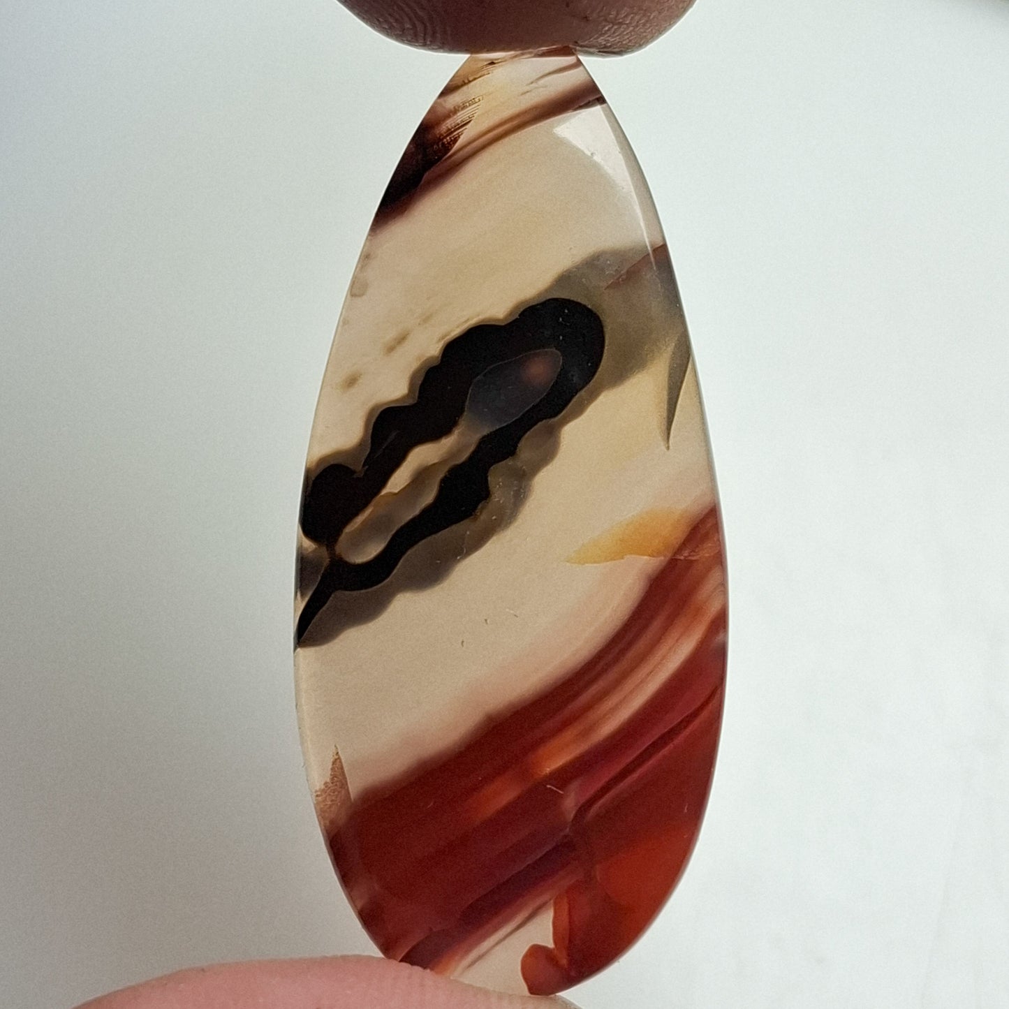 Agate Montana