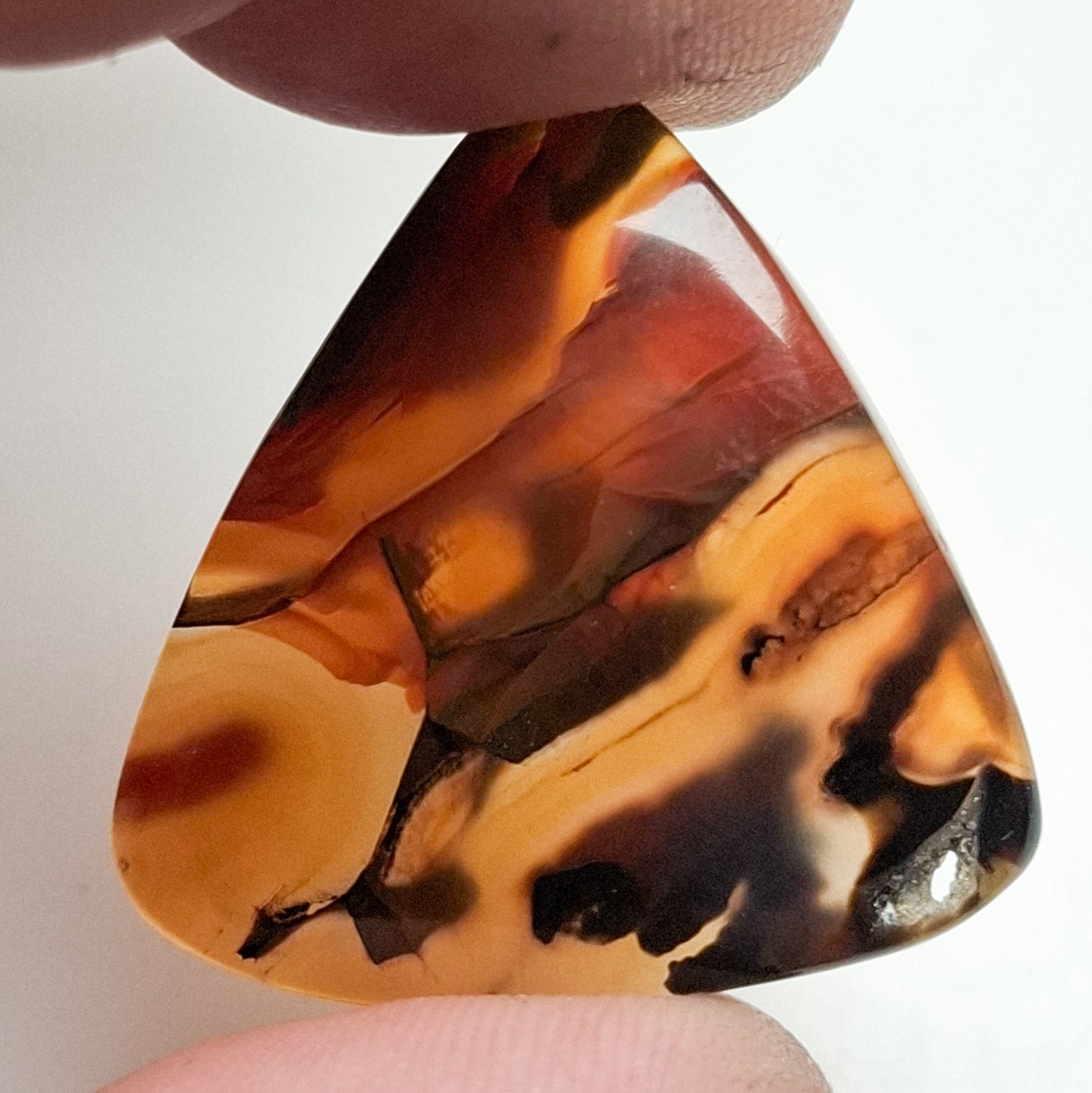 Agate Montana