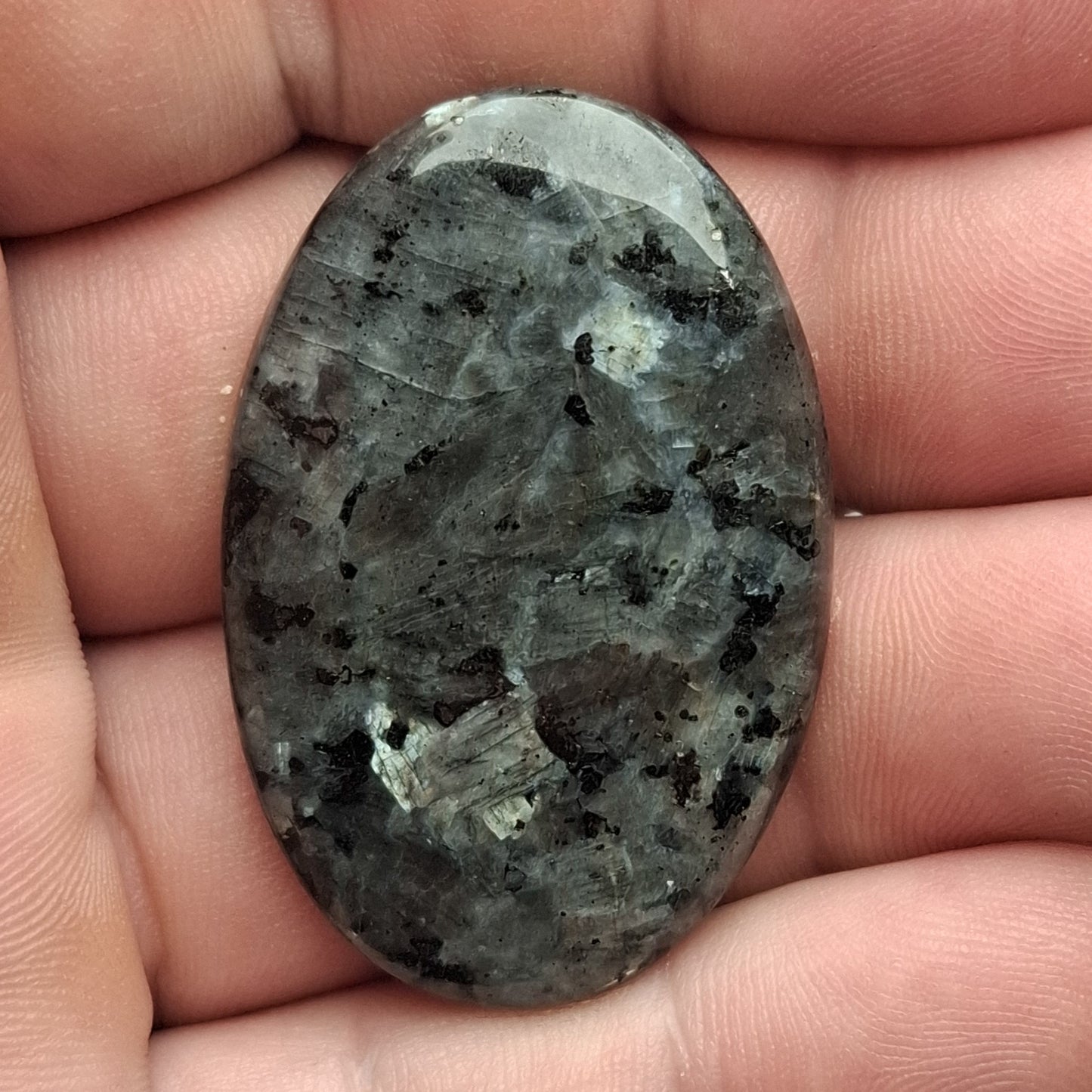 Cabochon Larvikite