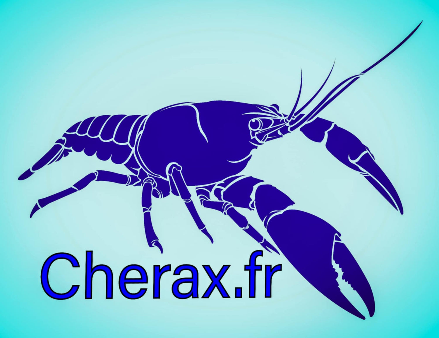 Cherax.fr