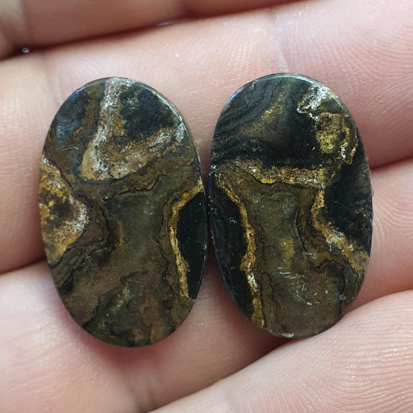 Paire cabochons stromatolite