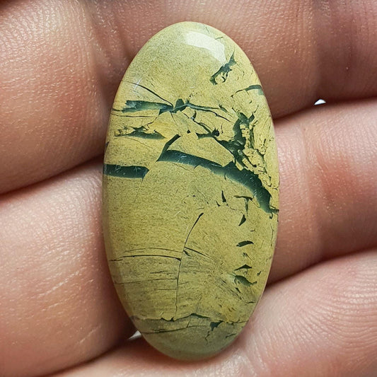 Cabochon serpentine