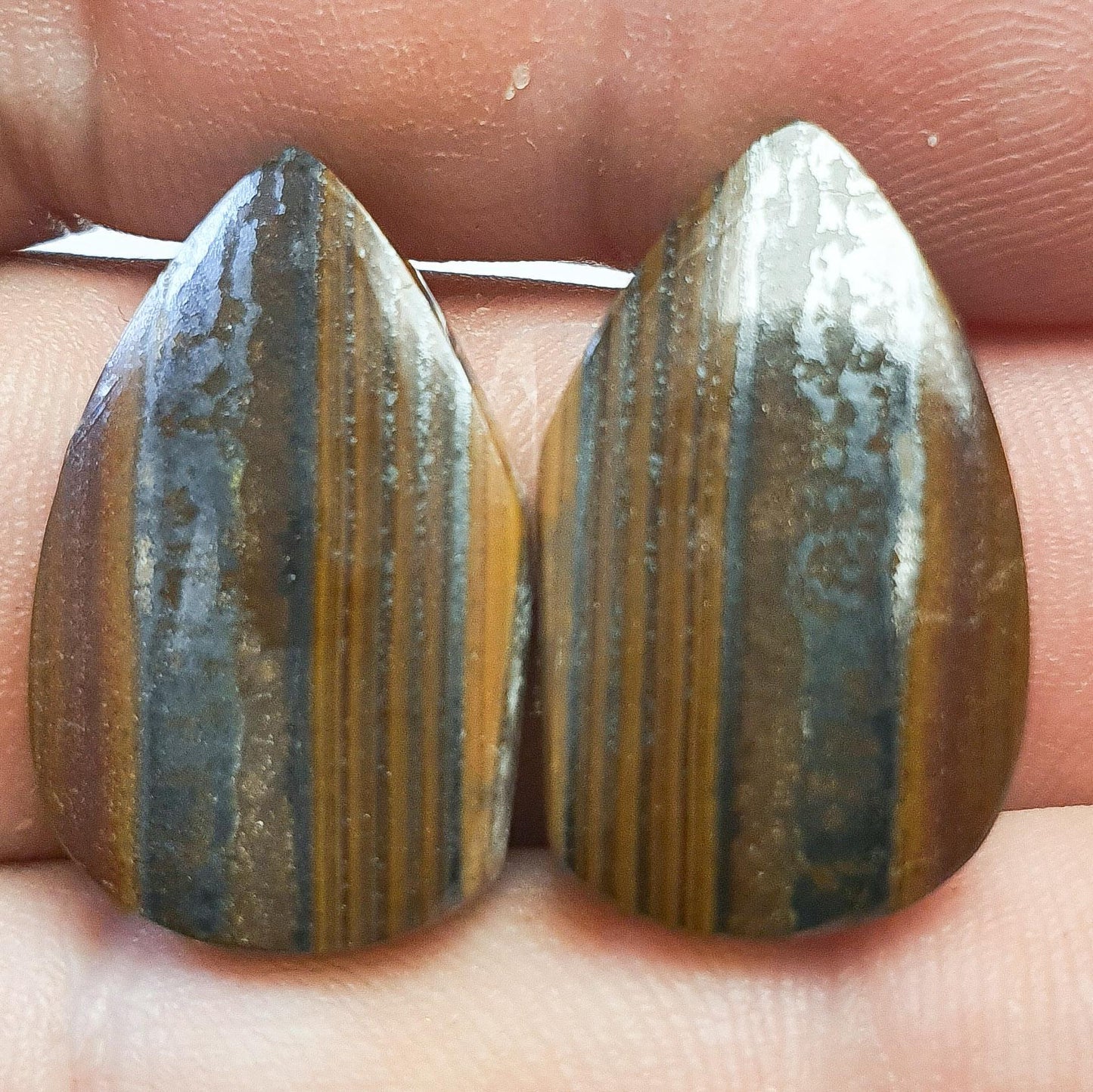 Paire cabochons œil de fer prieska