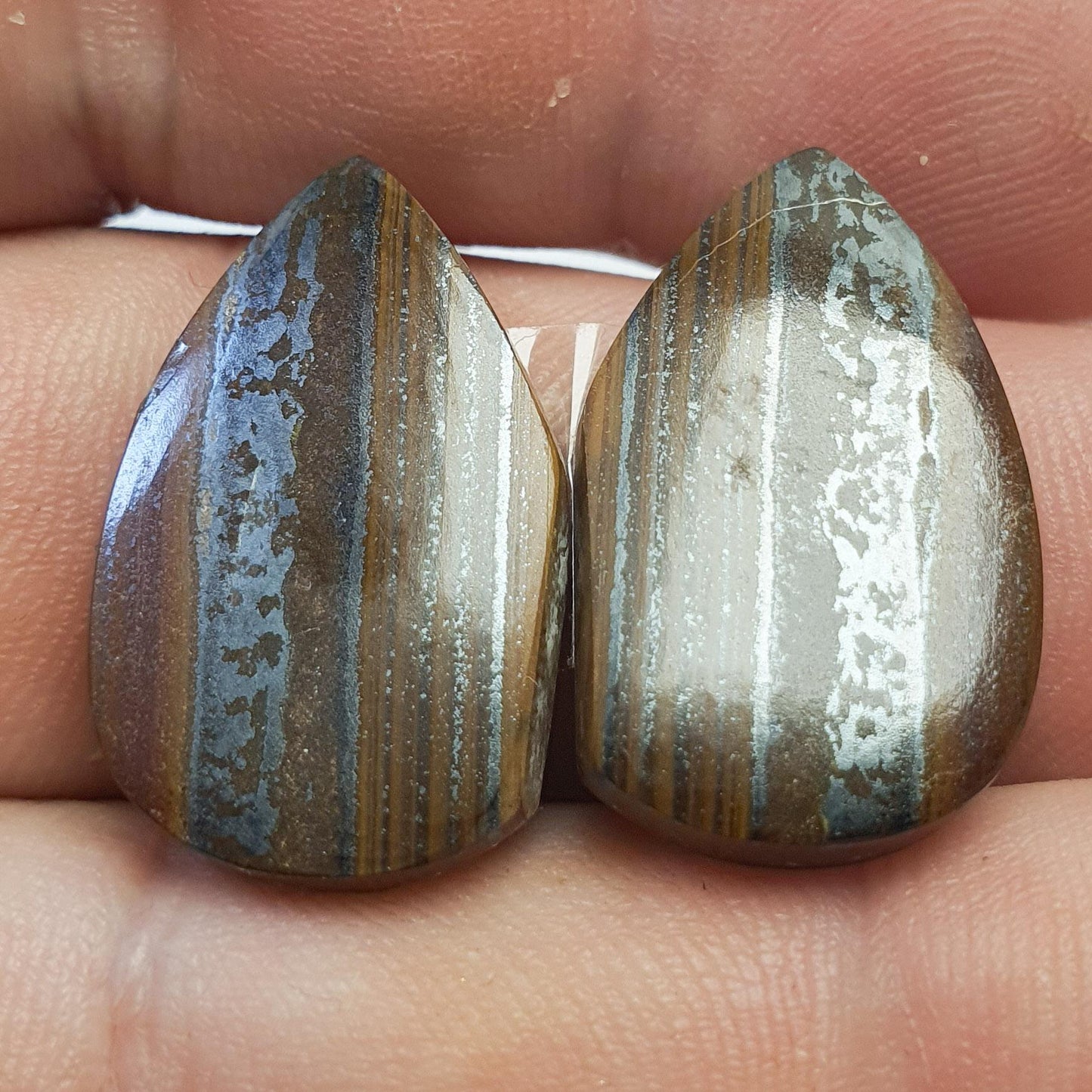 Paire cabochons œil de fer prieska