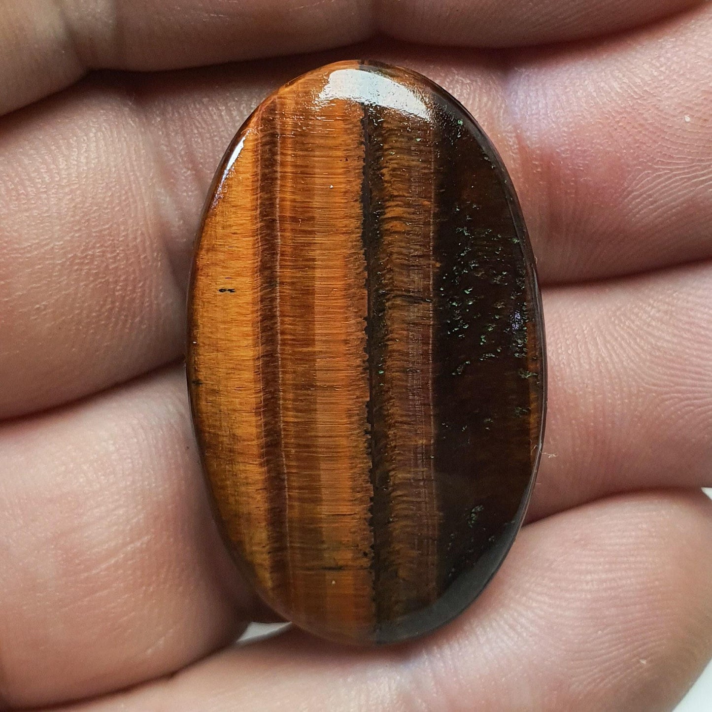 Cabochon œil de taureau rainurée