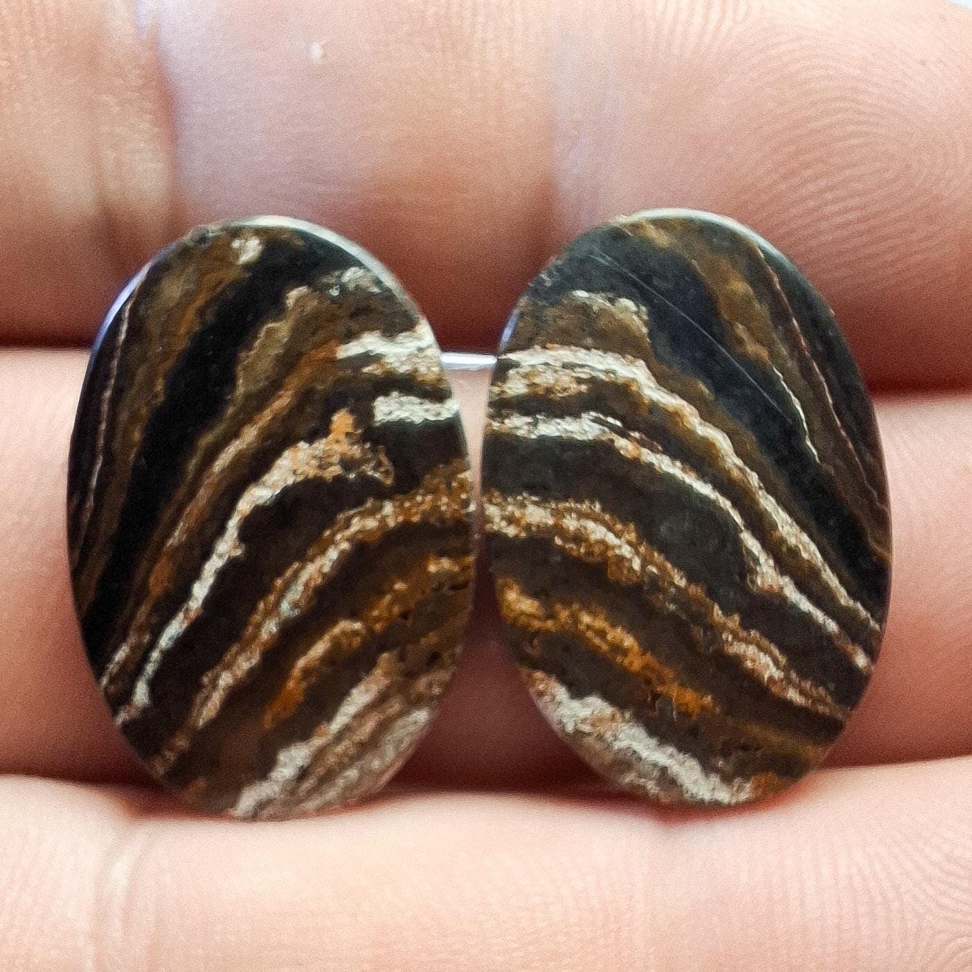 Paire cabochons stromatolite