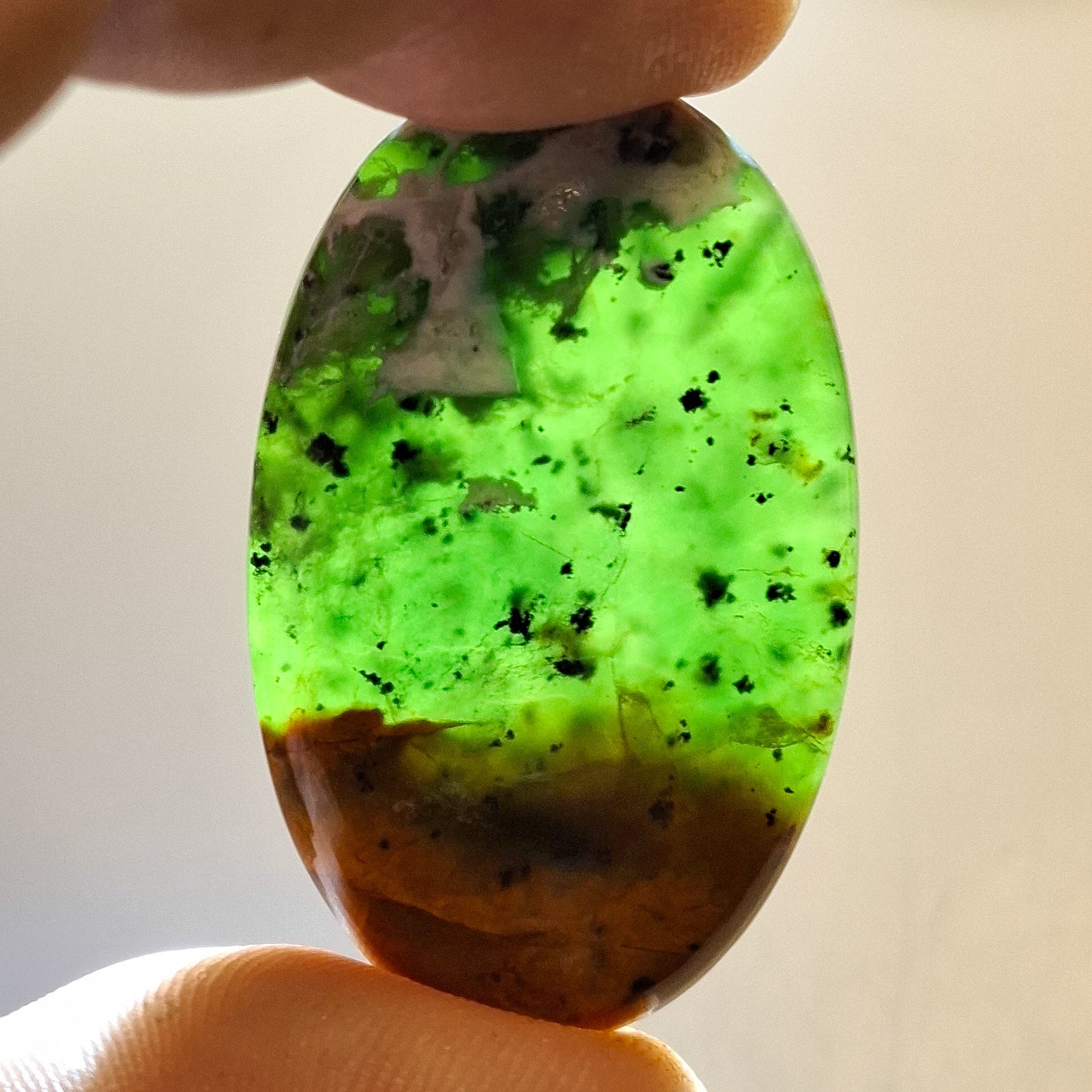 Cabochon Serpentine