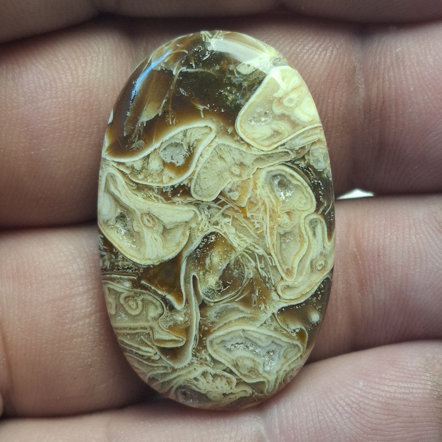 Cabochon Agate Palm