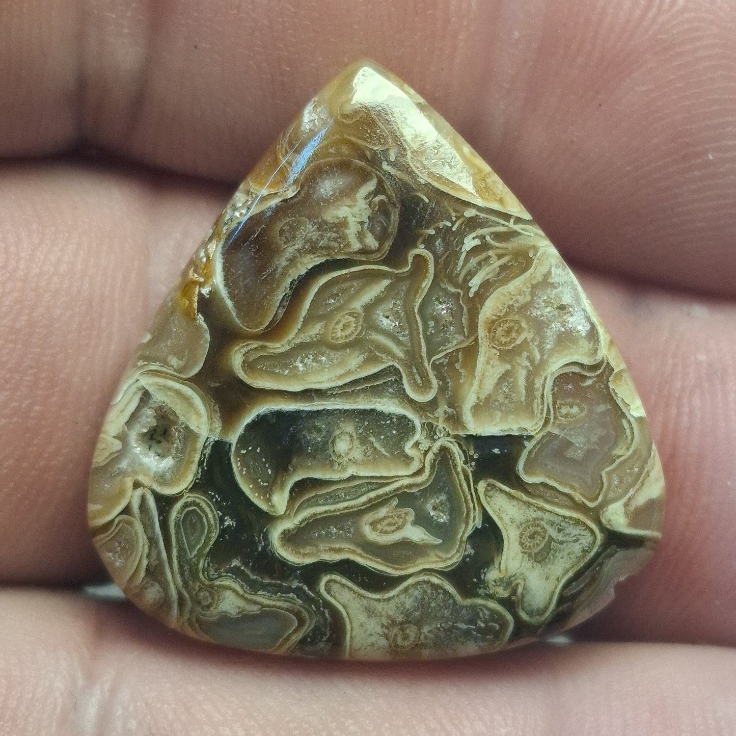 Cabochon Agate Palm