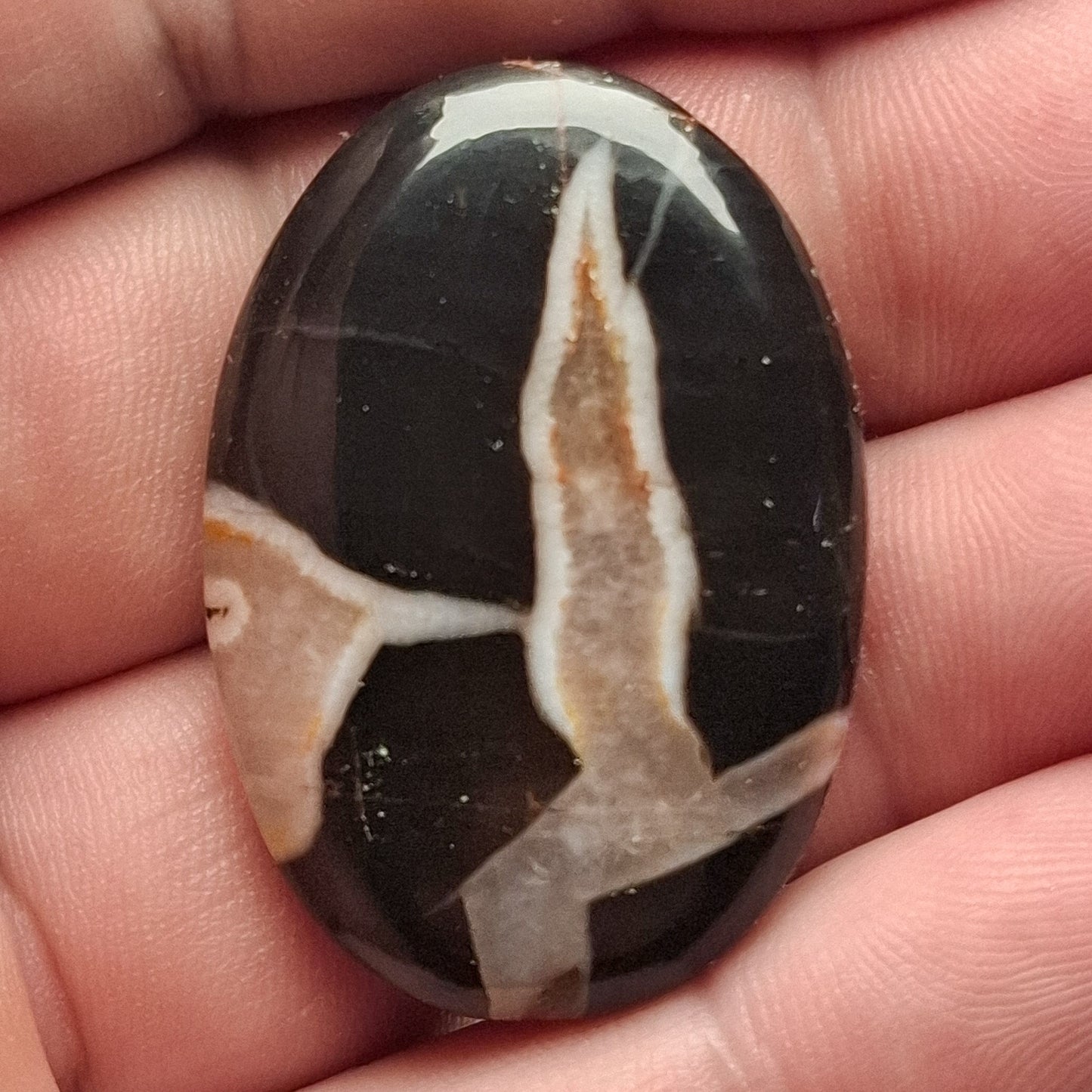Cabochon Septaria Noire du Maroc