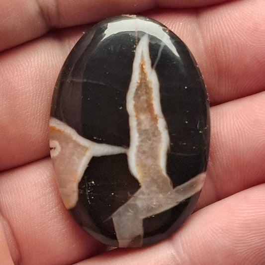 Cabochon Septaria Noire du Maroc