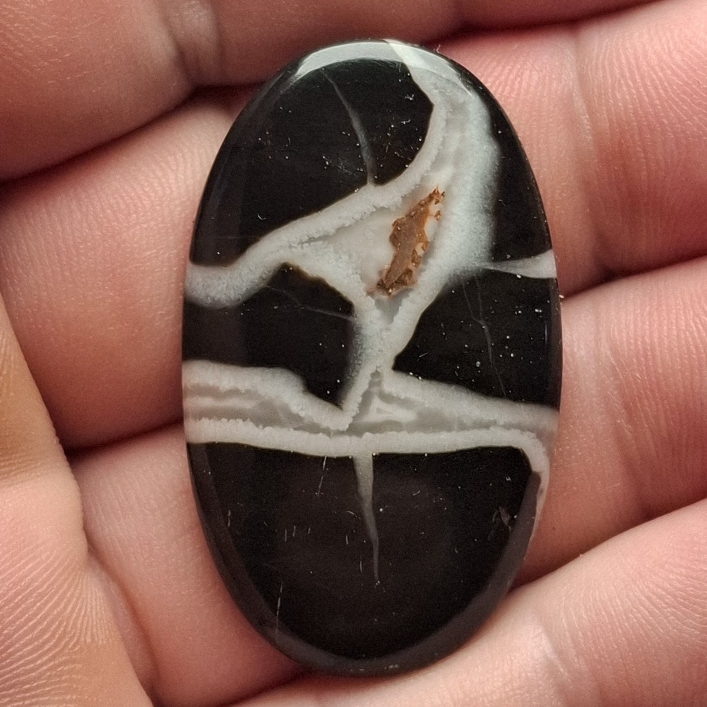 Cabochon Septaria Noire du Maroc