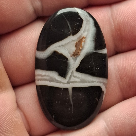 Cabochon Septaria Noire du Maroc