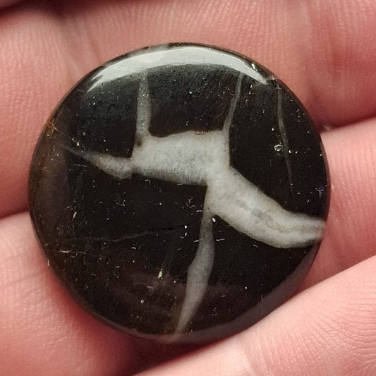 Cabochon Septaria Noire du Maroc