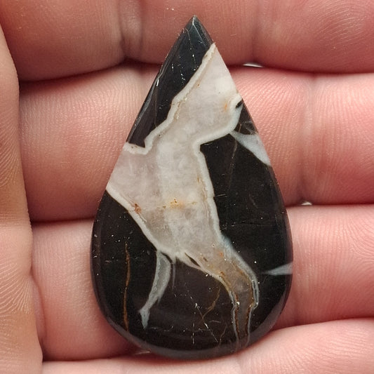 Cabochon Septaria Noire du Maroc