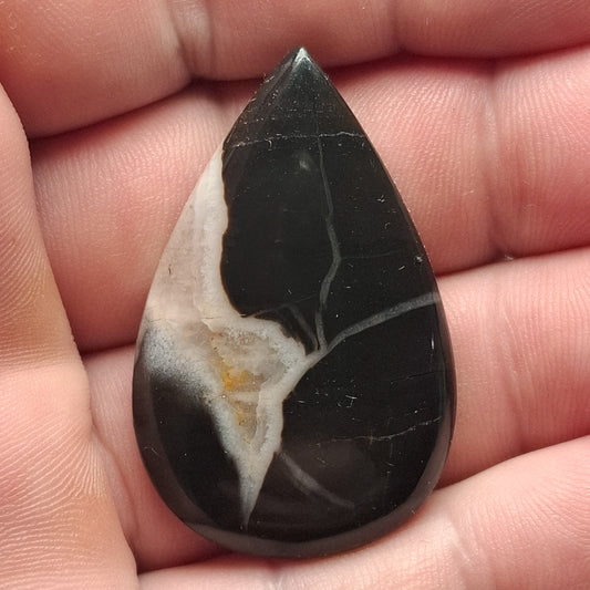 Cabochon Septaria Noire du Maroc