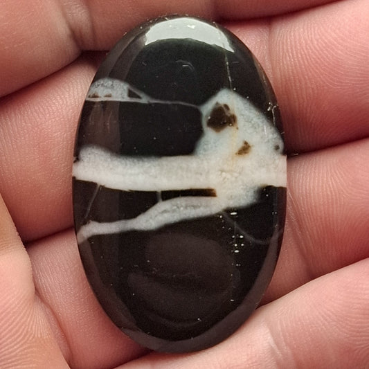 Cabochon Septaria Noire du Maroc