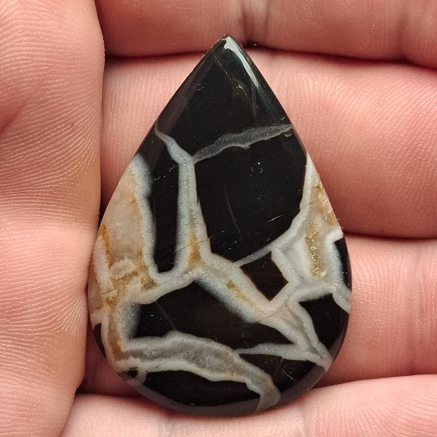 Cabochon Septaria Noire du Maroc