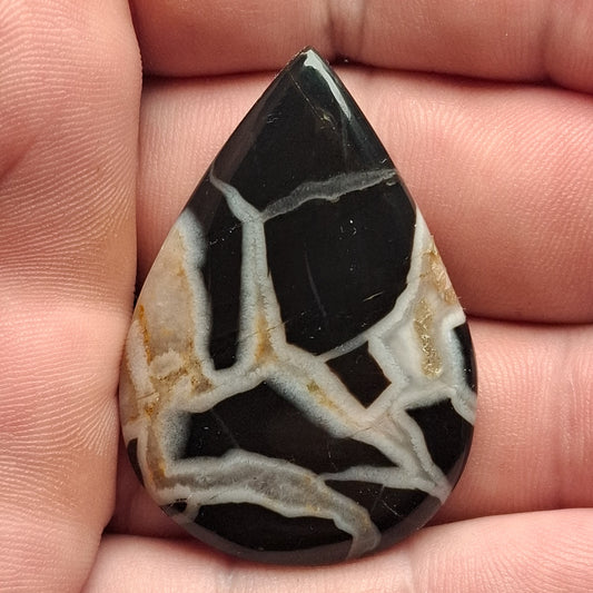 Cabochon Septaria Noire du Maroc