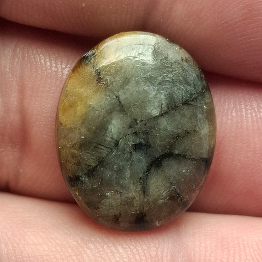 Cabochon Chiastolite