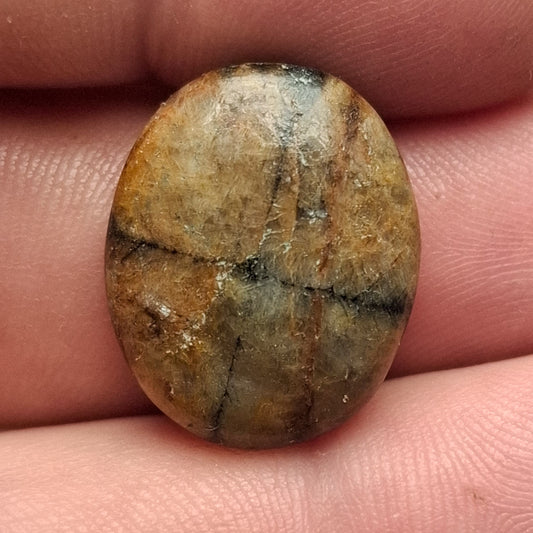 Cabochon Chiastolite