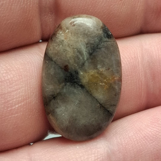 Cabochon Chiastolite