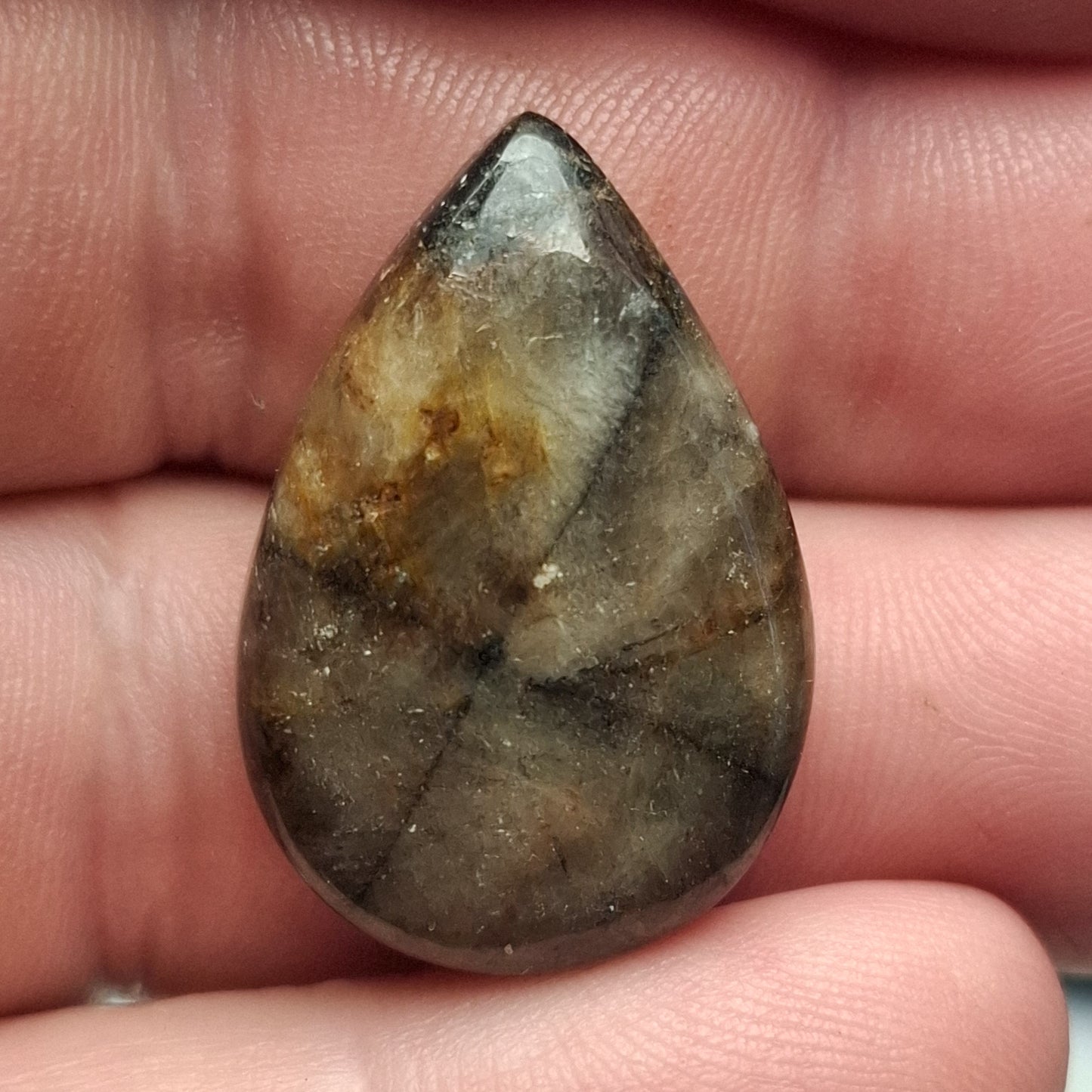 Cabochon Chiastolite
