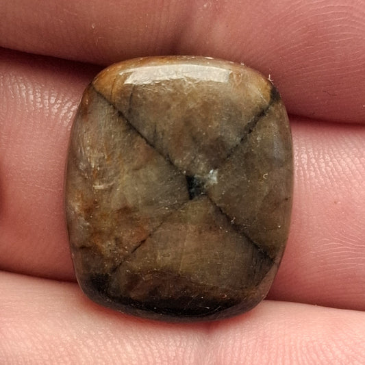 Cabochon Chiastolite
