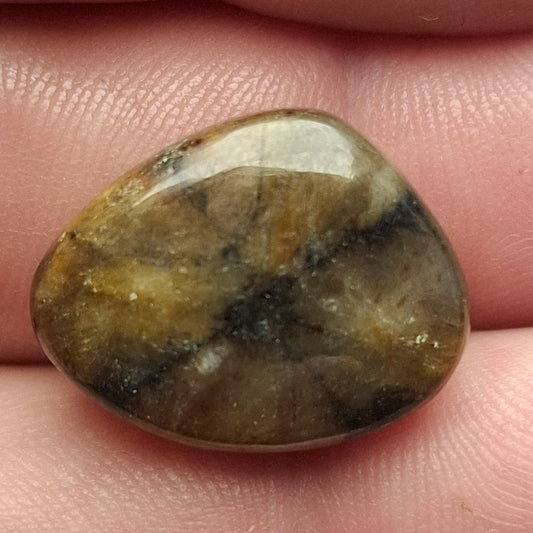 Cabochon Chiastolite